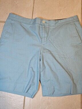 Banana Republic Hampton Fit Light Blue Shorts In Size 12